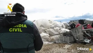 Esclarecida la gestión irregular de más de 2.000 toneladas de residuos peligrosos de cultivos en Ávila