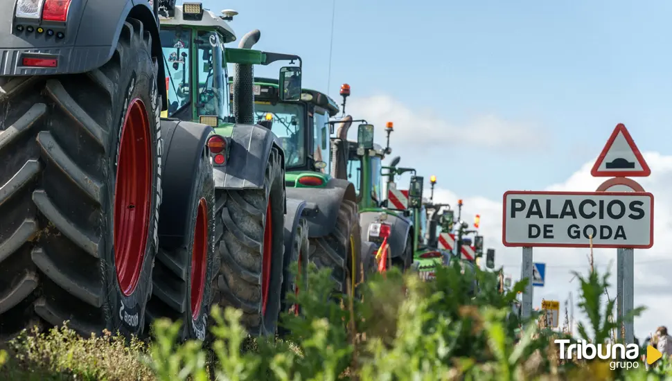 Más de 300 tractores se dan cita en el Palagüinos más reivindicativo