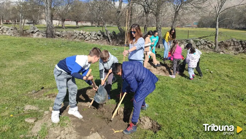 La Diputación celebra el Día del Árbol reforestando Navarredondilla