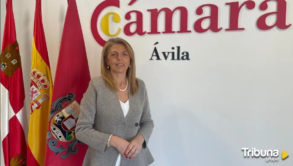 Mercedes Contreras, nueva directora de la Cámara de Ávila