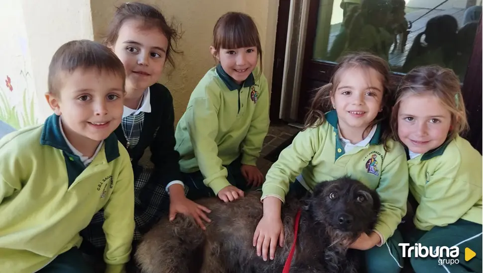 La protectora Huellas visita el colegio de la Sagrada Familia