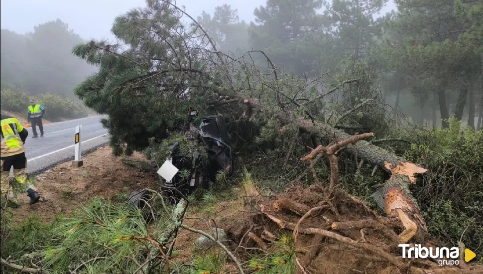 Herido tras la salida de vía de su vehículo, chocar contra un árbol y volcar en Las Navas del Marqués