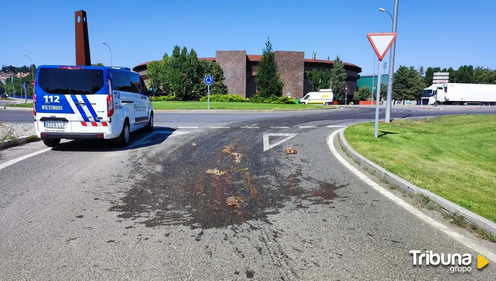 Sanción a empresa por verter restos de animales muertos en varios puntos de Ávila