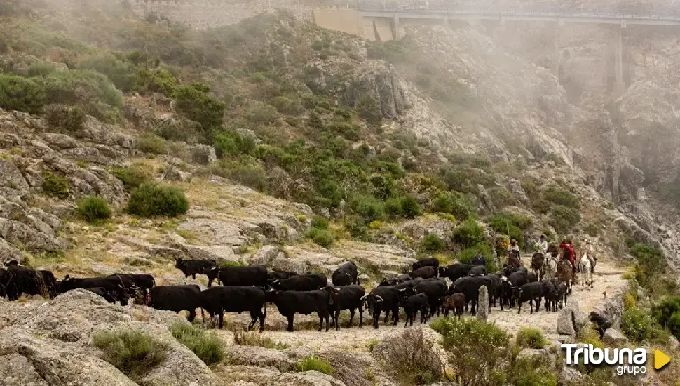 El XVI Concurso Fotográfico Jornada de Trashumancia ya tiene ganadores