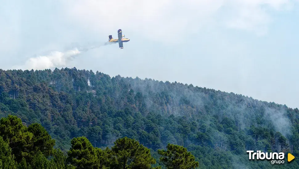 El incendio en El Hornillo ronda ya las 100 hectáreas afectadas