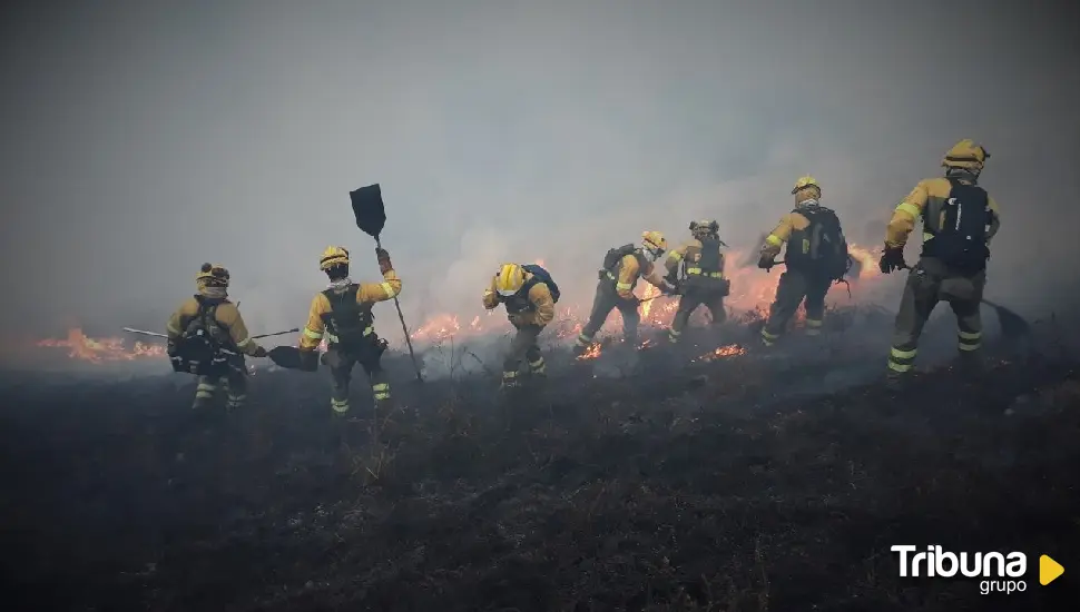 Lamentan que Ávila siga "desprotegida" ante grandes incendios