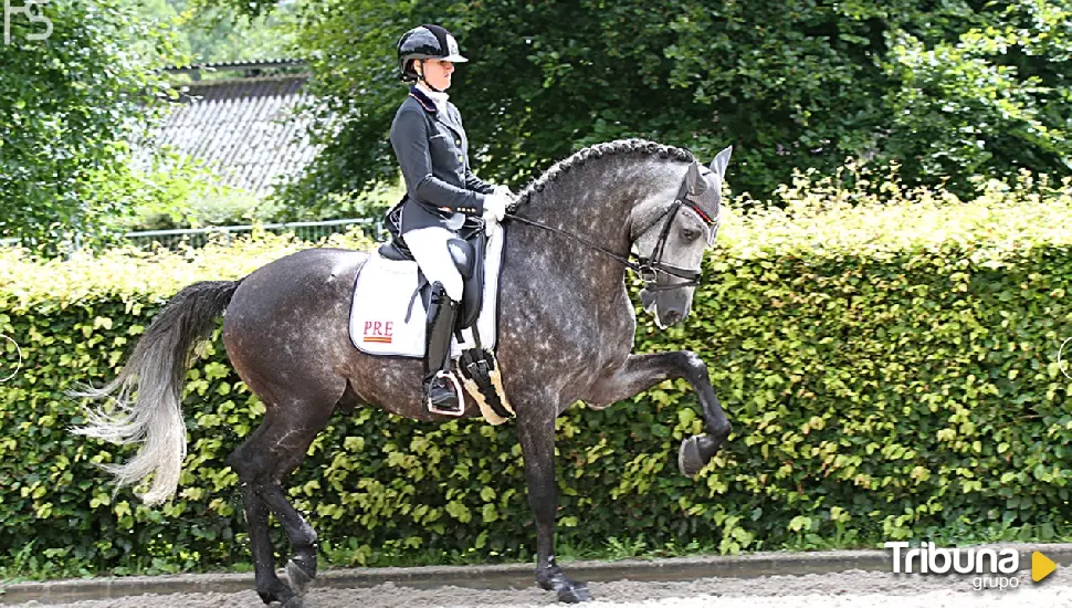 Rociero FS, representará a España en el Campeonato del Mundo de Caballos Jóvenes