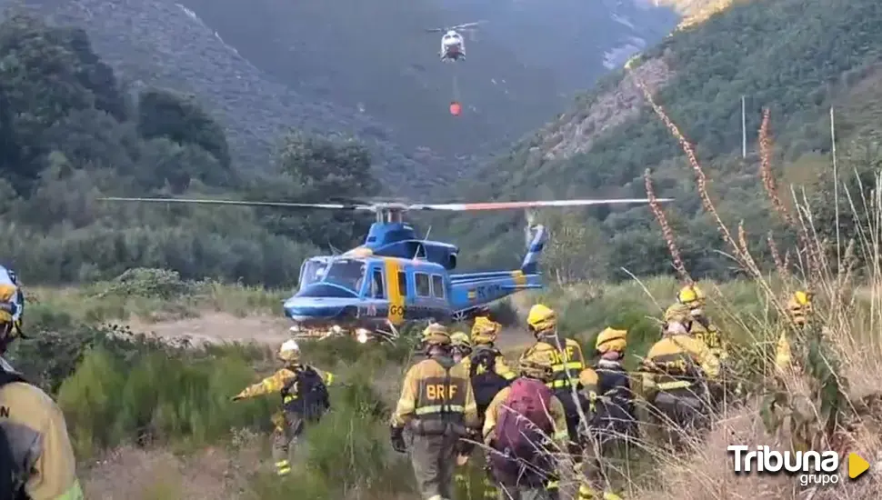 Los dos incendios de Ávila son frenados tras arrasar 25 hectáreas