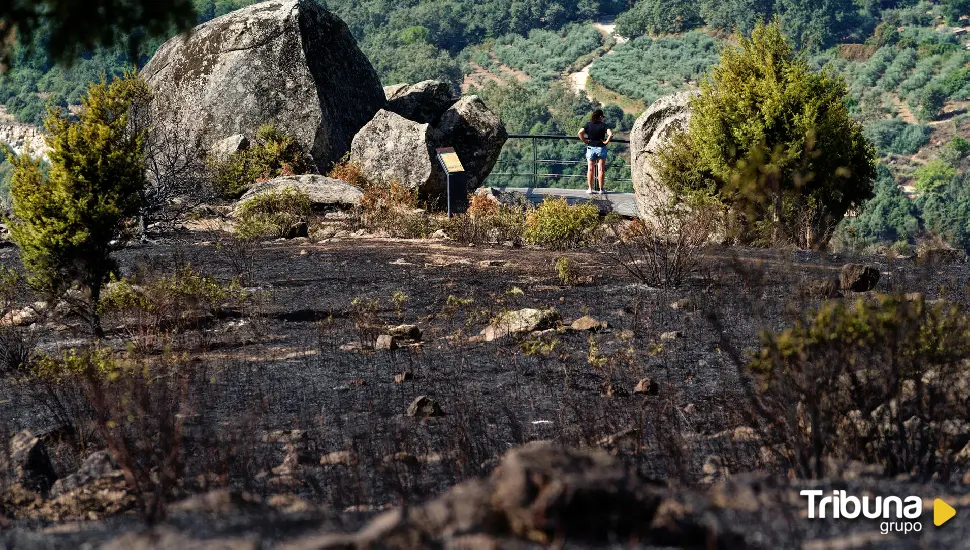 El incendio de El Raso baja a Nivel 0