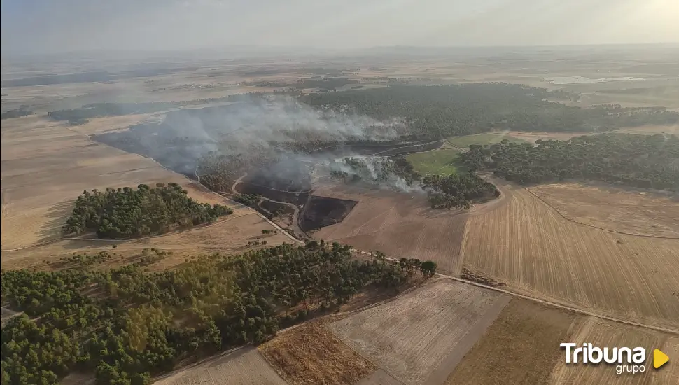 Baja a Nivel 1 el incendio forestal de Cabizuela