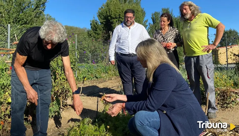 Sostenibilidad ambiental y envejecimiento activo en los huertos urbanos