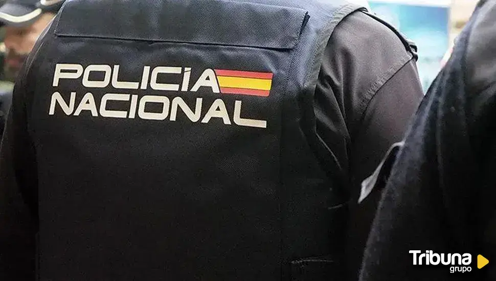 Vox considera "muy alarmante" el incremento de delincuencia en Ávila