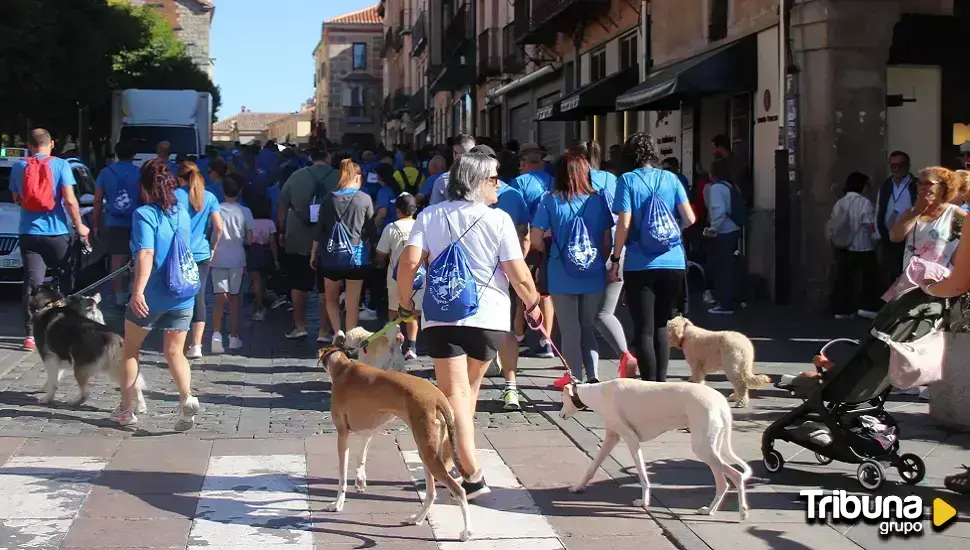 Canimarcha en la ciudad para concienciar sobre la adopción de perros y gatos