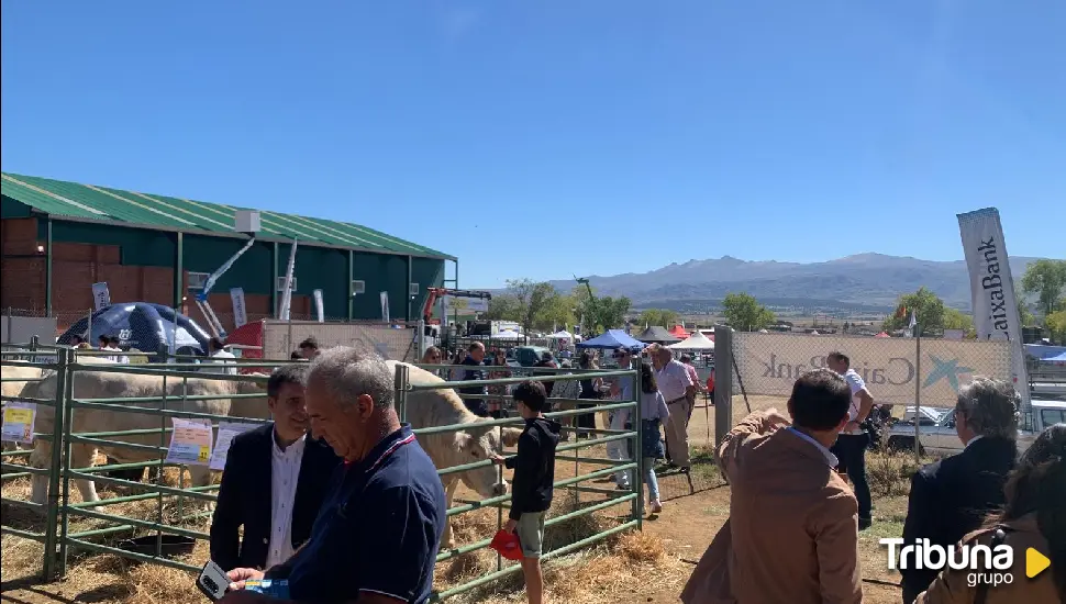 Las Grandes Ferias de Muñana, escaparate de referencia para el sector primario