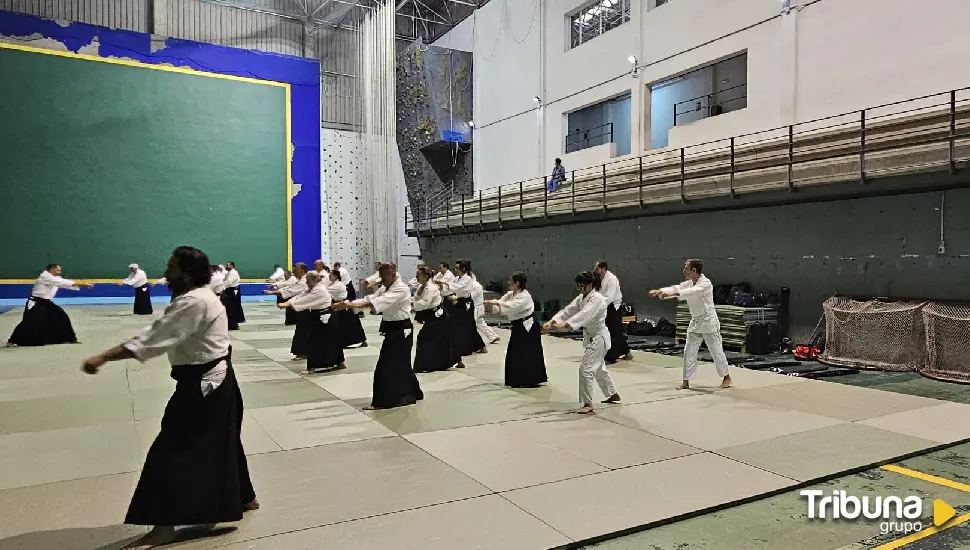 Ávila acoge un curso nacional de Aikido