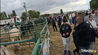 Las Grandes Ferias de Muñana se consolidan como referencia del sector primario en Ávila