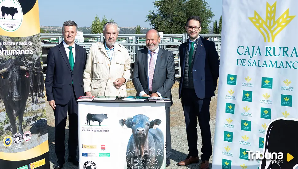 Caja Rural de Salamanca, con la Asociación de Raza Avileña-Negra Ibérica