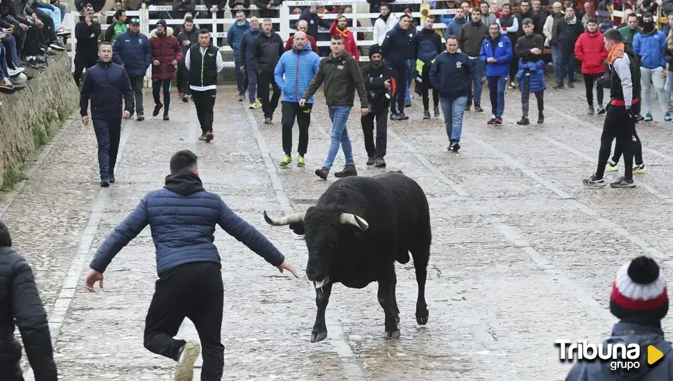  Piden evitar la presencia de menores en el encierro de Horcajo de las Torres