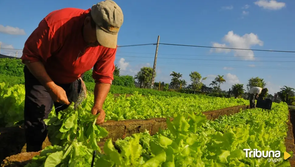 La PAC llegó a 5.746 agricultores y ganaderos de la provincia