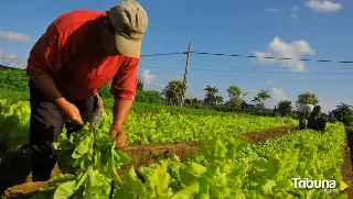 La PAC llegó a 5.746 agricultores y ganaderos de la provincia