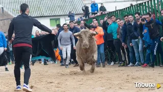 Horcajo de las Torres corrió sus toros de San Julián