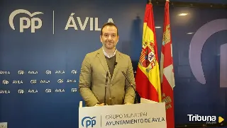 "Vamos a seguir desenmascarando el populismo inoperante y sin ideas de Por Ávila"