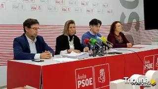 El PSOE de Ávila apoyan la concentración de este domingo   