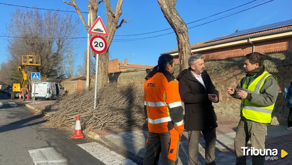 Trabajos de poda en todos los espacios verdes de Ávila